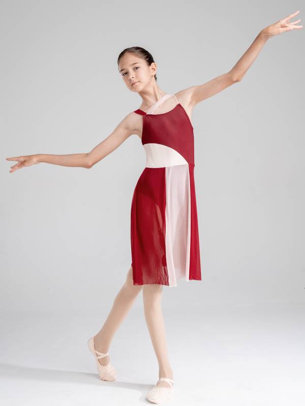 Kids Girls Sleeveless Color Block Lyrical Dance Leotard Dress thumb