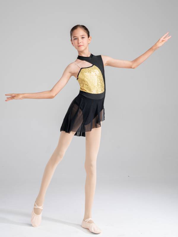 Kids Girls Sleeveless Sequins Mesh Lyrical Contemporary Dance Dress thumb