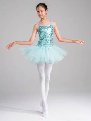 Kids Girls Sequined Ballet Dance Leotard Tutu Dress front image