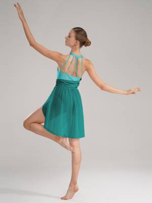 Women Sleeveless Chiffon Lyrical Dance Leotard Dress back image