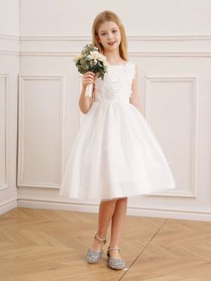 Kids Girls Embroidery Ball Gown Sleeveless Backless Flower Girl Dress back image