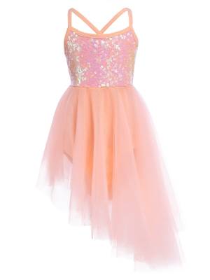 Kids Girls Sequins Tulle Ballet Dance Gymnastics Leotard Dress front image