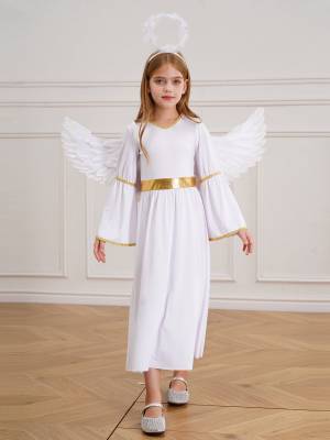 Kids Girls 3Pcs Long Sleeve A-line Angel Dress with Feather Hairband and Wings front image