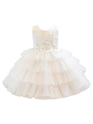 Baby/Toddler Girl Sleeveless Flower Beaded Tutu Dress for Birthday Party front image